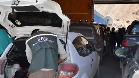 Alerta para quienes viajan a Chile: detectan sitios falsos que cobran por un trámite gratuito