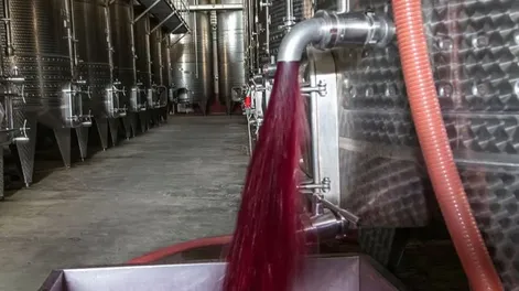 Malestar en el sector productivo por la autorización de Nación a una bodega para importar vino