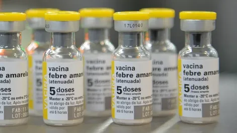 Recuerdan vacunarse contra la fiebre amarilla para viajar