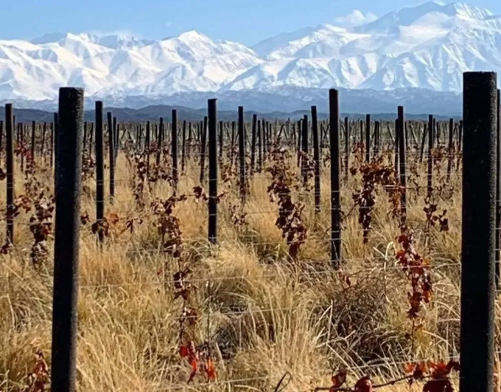 Trasforman desechos plásticos para evitar la tala de 1,5 millones de árboles