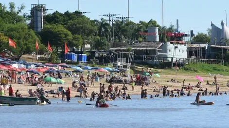 Ataque de palometas en la Costanera Este: hubo 15 víctimas en 3 días