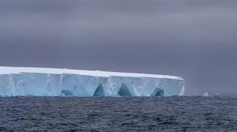 El iceberg más grande del mundo se desprendió, navega por el océano y hay inquietud sobre el posible impacto
