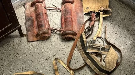 La policía recuperó una montura de caballo robada en diciembre