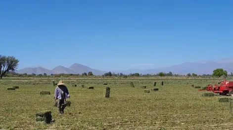 Exportaciones per cápita de SanJuan son 7 veces mayores al 2002