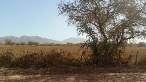 Efectos. La zona más afectada es Colonia de los Valencianos, donde los productores fueron abandonando sus fincas en la última década debido a los costos de energía, ya que regaban con perforaciones.