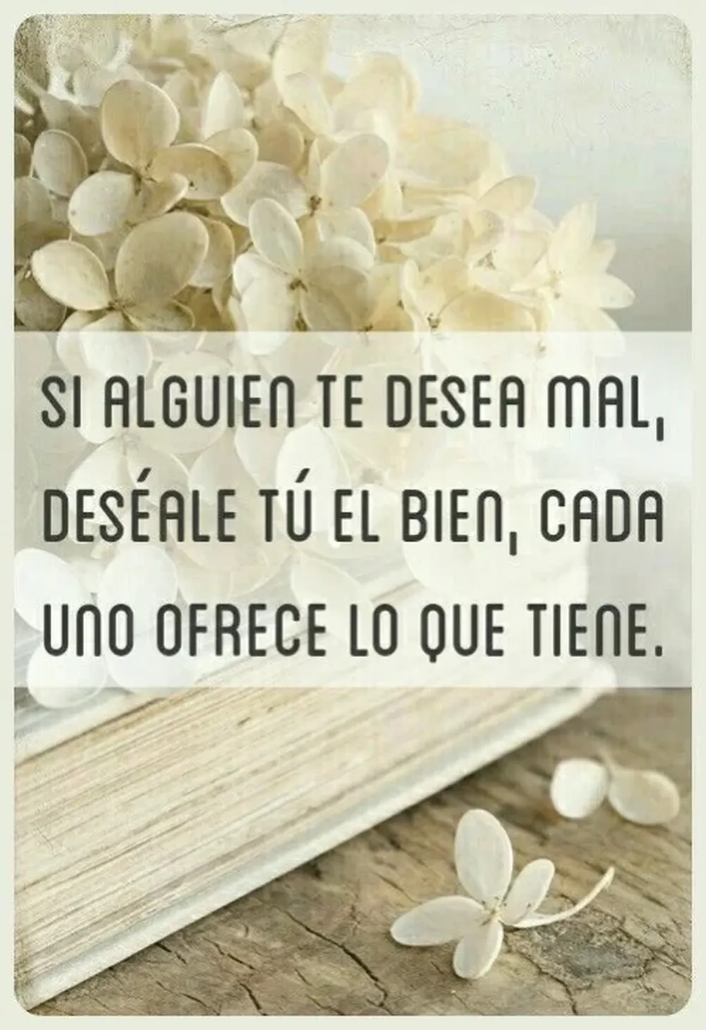 [AUDIO] Reflexión espiritual del martes 14 de junio: parecernos a Dios