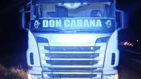 El camión retenido por la policía mendocina.