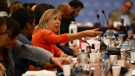 FMI: avanza el acuerdo en Diputados y hoy esperan que se haga la sesión