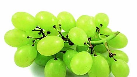 Revelan beneficios de coberturas plásticas