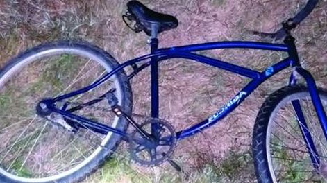 Imagen ilustrativa.-