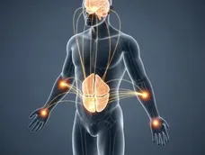 Cómo el cerebro puede ayudar a eliminar la grasa que no se pierde con dieta ni ejercicio Cómo el cerebro puede ayudar a eliminar la grasa que no se pierde con dieta ni ejercicio