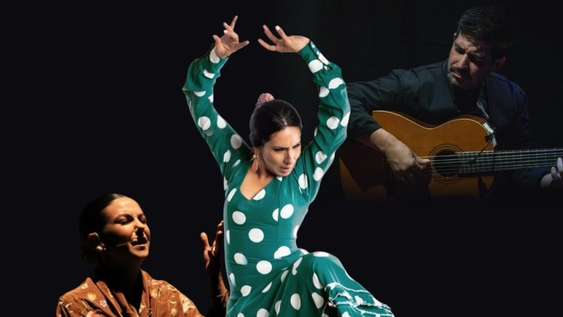 El Teatro del Bicentenario recibirá a Cathy Sandoval, Lydia Martín y Allier Díaz Ferrer, quienes harán dos tablaos el mismo día.&nbsp;
