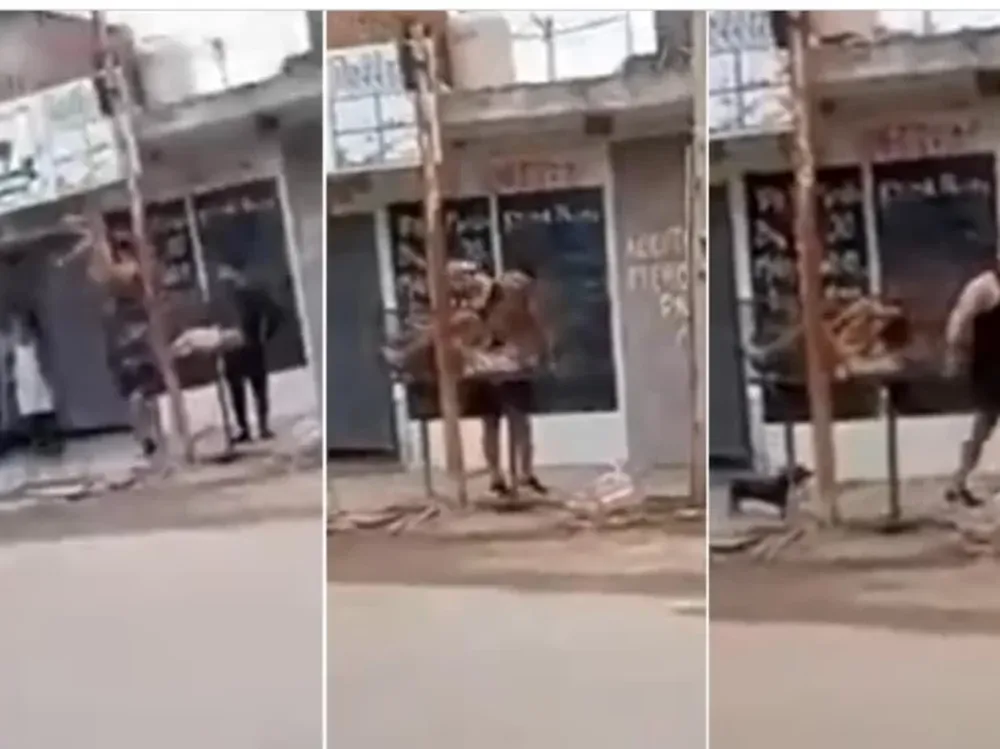 [VIDEO] Atrapó a un ladrón, lo golpeó y lo arrojó a la basura