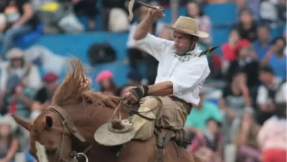 La más técnica, la más elegante, la categoría espectáculo suelen llamar a bastos o basto.