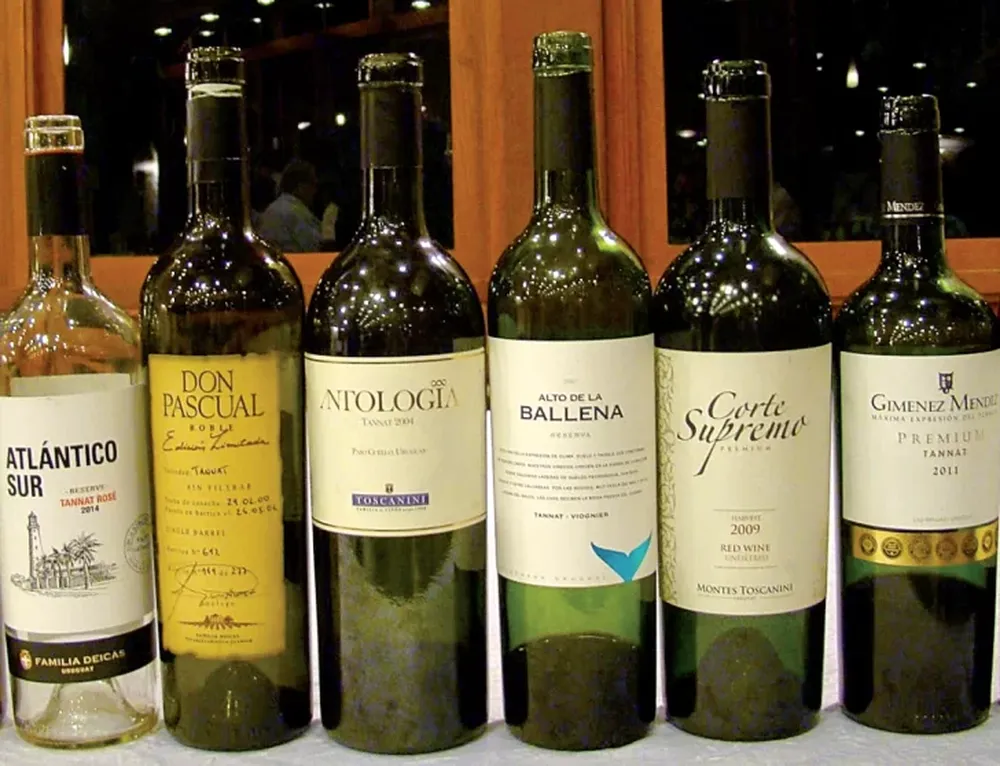 Hemisferio Sur: baja en el vino del 5,5%