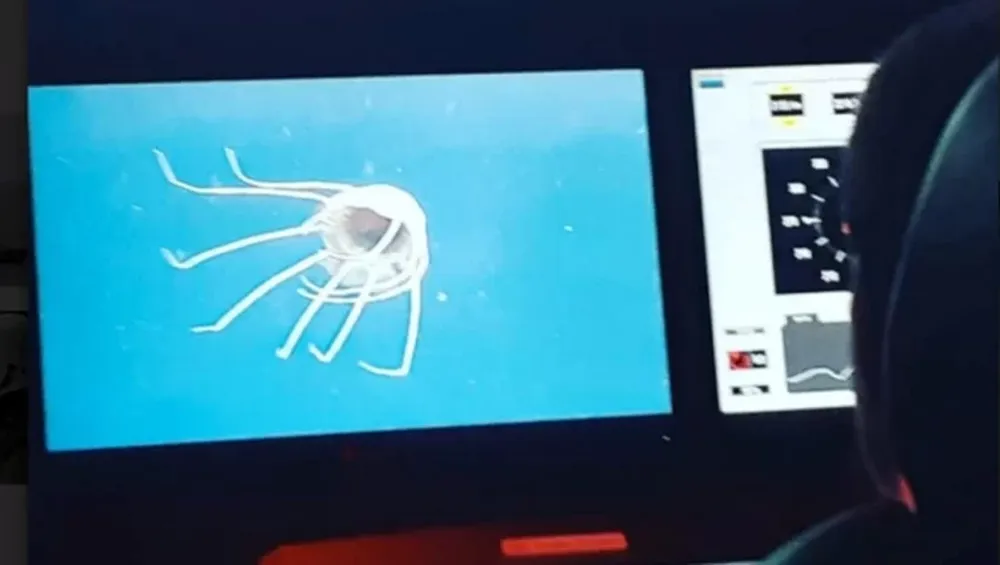 Encontraron nuevas pistas del ARA San Juan y los robots acuáticos intentan verificarlas