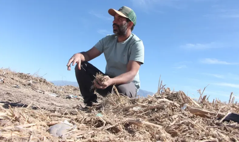 ECOLÓGICO. La madera de la poda pasa por una molienda y luego le agregan materia orgánica fresca. En 3 meses se logra un compost de alta calidad.