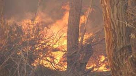 A un año del incendio en Guañizuil, aún no aparecen los responsables