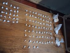 En uno de los allanamientos encontraron 100 dosis de cocaína.