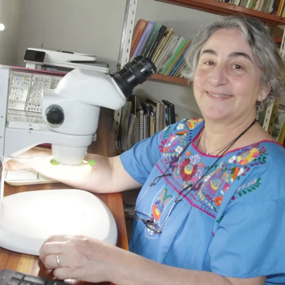 Del Reino Unido a investigar en San Juan