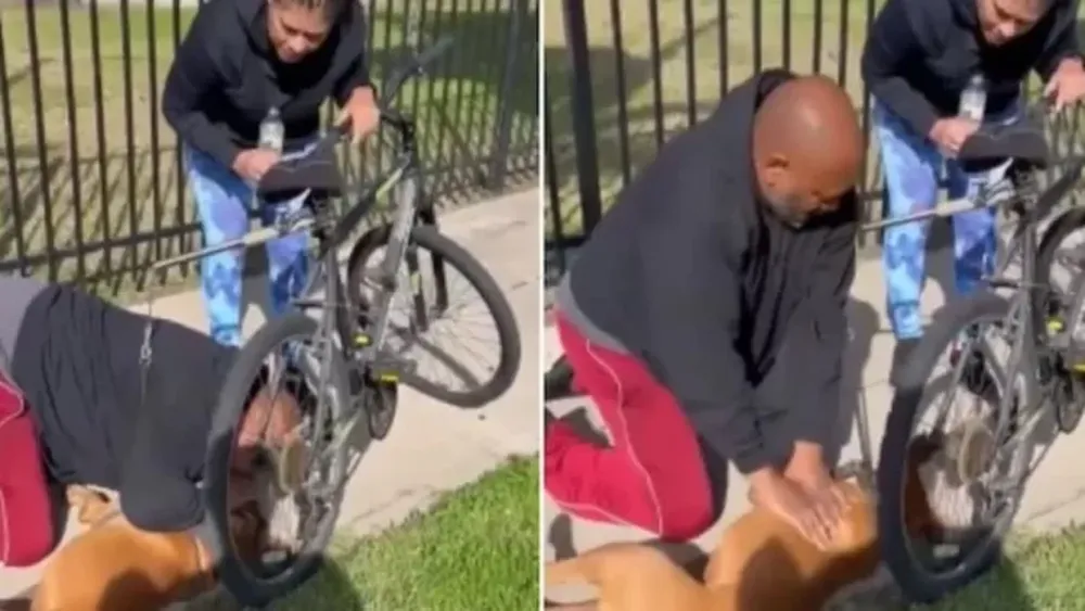 [VIDEO] Le hizo RCP a su perro en plena calle y le salvó la vida
