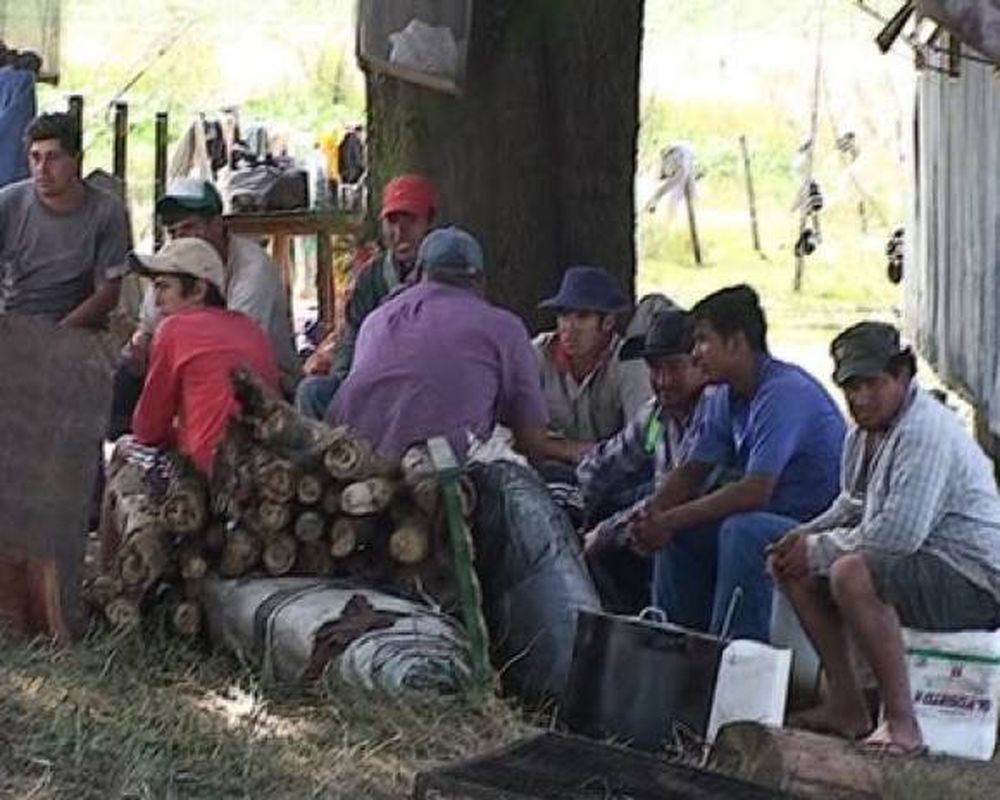 La Nación controlará el trabajo rural