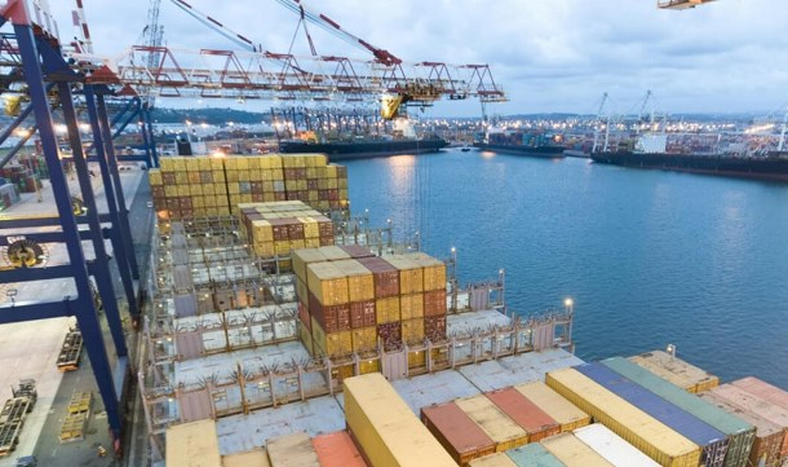 Exportaciones de San Juan: durante el 2025 hubo una caída en los despachos, pero el oro salvó los datos