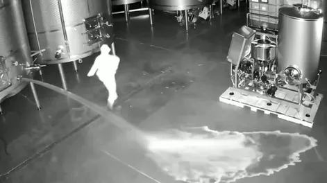 Sabotaje en una bodega: abrió una válvula y derrochó 60 mil litros de vino de alta gama