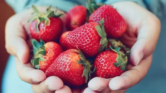 Los 6 grandes beneficios de las frutillas para el bienestar físico