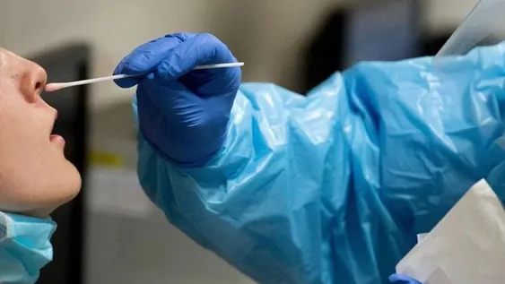 Afirman que el coronavirus infecta el cerebro a través de la nariz