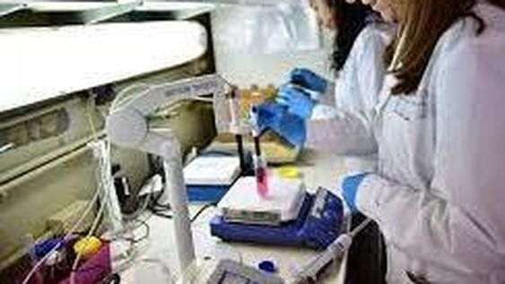 Un inédito laboratorio de genética