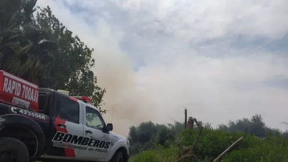 Pocito: un incendio en una finca de olivos complicó la visibilidad en la Ruta 40