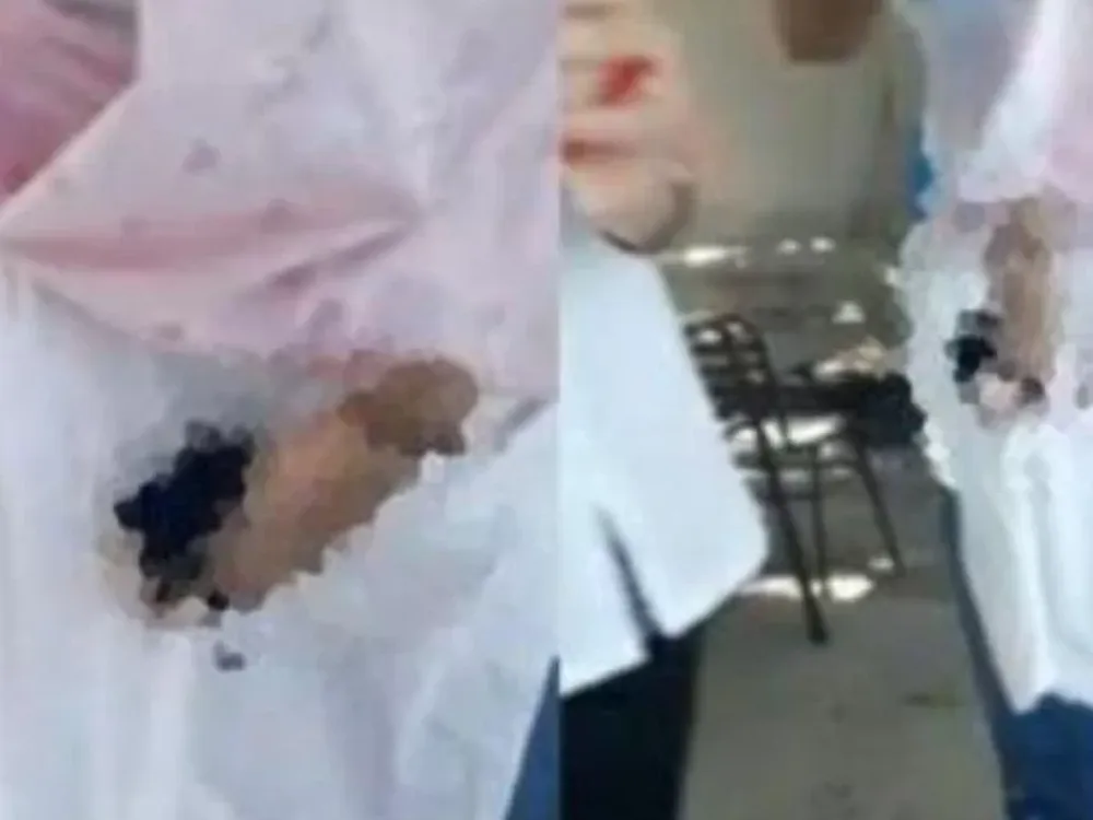 Revelan audios en que las docentes que bailaron con el juguete sexual cuentan la trama del festejo