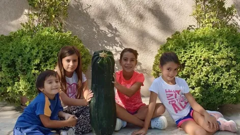 Un super zapallo de la variedad Angola