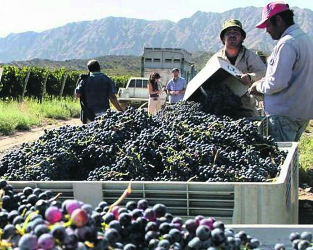 El cooperativismo acompaña la tonificación de precios