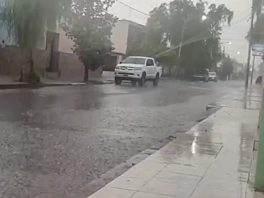 Intensa lluvia en Jáchal provocó calles anegadas, caminos con material de arrastre y árboles caídos