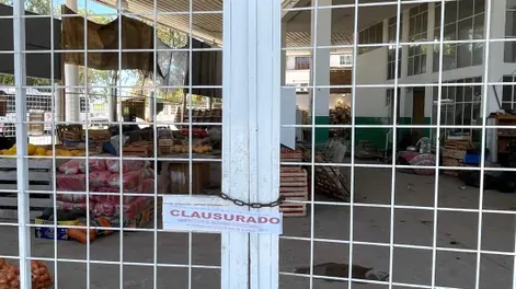 Maltrato animal en Rawson: el municipio intervino y clausuró el local donde mataron a “Negrita”