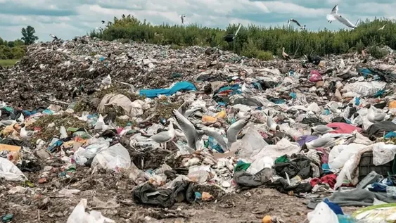 Violaron, golpearon y enterraron vivo a un hombre acusado de abuso sexual