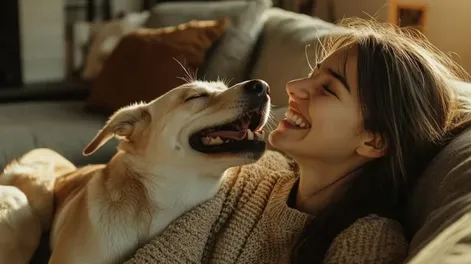 Por qué se celebra el Día del Animal este 29 de abril