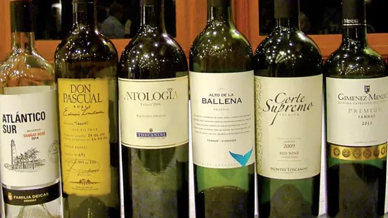 Hemisferio Sur: baja en el vino del 5,5%