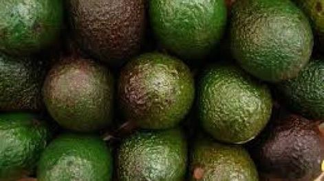 Récord de consumo de paltas para la Super Bowl americana