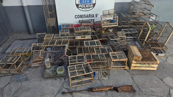 Las aves rescatadas y el arma secuestrada por la Policía.