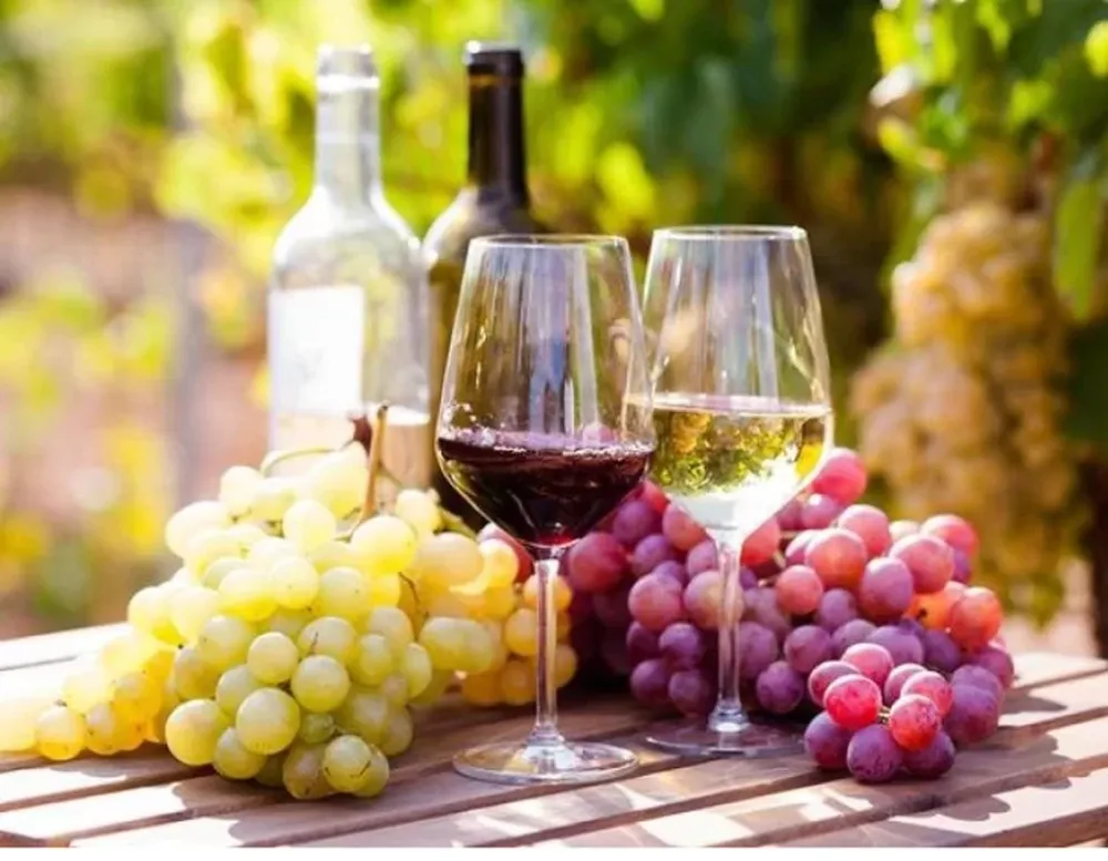 La uva y el vino homenajeados con dos festivales,uno a nivel nacional realizado en Caucete y otro departamentalen 25 de Mayo. También el tomaticántendrá su celebración en Pocito.