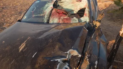 Gentileza: Vialidad Nacional.-