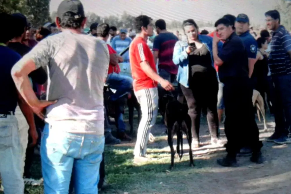 Desafío visual en menos de 60 segundos: ¿podés encontrar la serpiente entre las jirafas?