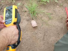 Ambiente logró tomar imágenes termográficas inéditas de un pichiciego que apareció en la Reserva Valle Fértil. Ambiente logró tomar imágenes termográficas inéditas de un pichiciego que apareció en la Reserva Valle Fértil.