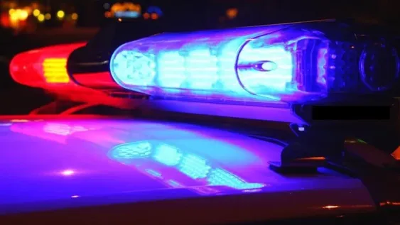 Policías y parteros: tres efectivos ayudaron a nacer al quinto hijo de una mujer de 26 años