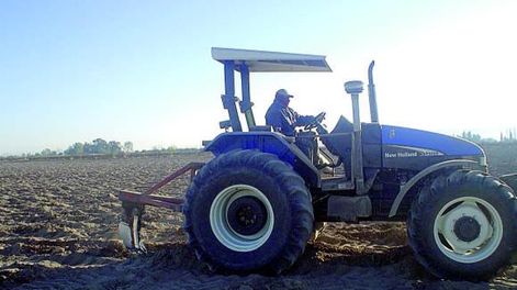 Agroinsumos y un mercado con demanda “demasiada tranquila”