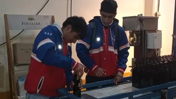 Más empresas reciben alumnos para prácticas