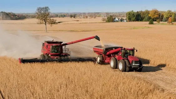 El Gobierno cerró el registro de exportaciones previo a un aumento de retenciones